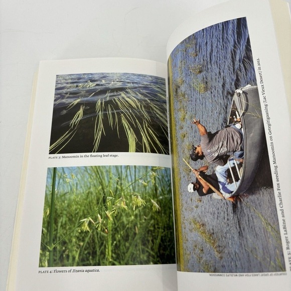 Manoomin: The Story of Wild Rice in Michigan by Barbara Barton Paperback - Picture 2 of 9